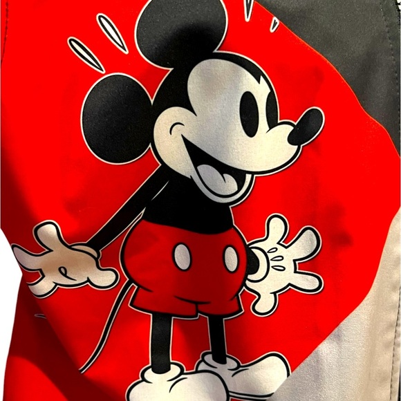 Disney Bradford Exchange Mickey & Minnie Mouse Jacket Sz Small Detachable Hood. - Picture 7 of 12